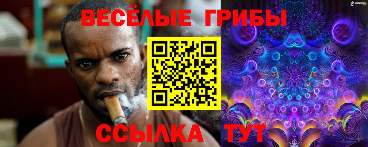 Галлюциногенные грибы GOLDEN TEACHER  Вход с VPN  Елец 